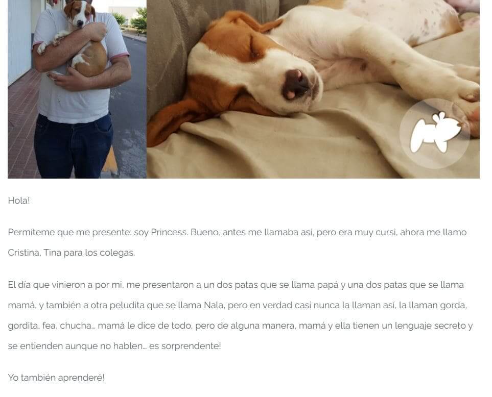 ejemplo escrito storytelling
