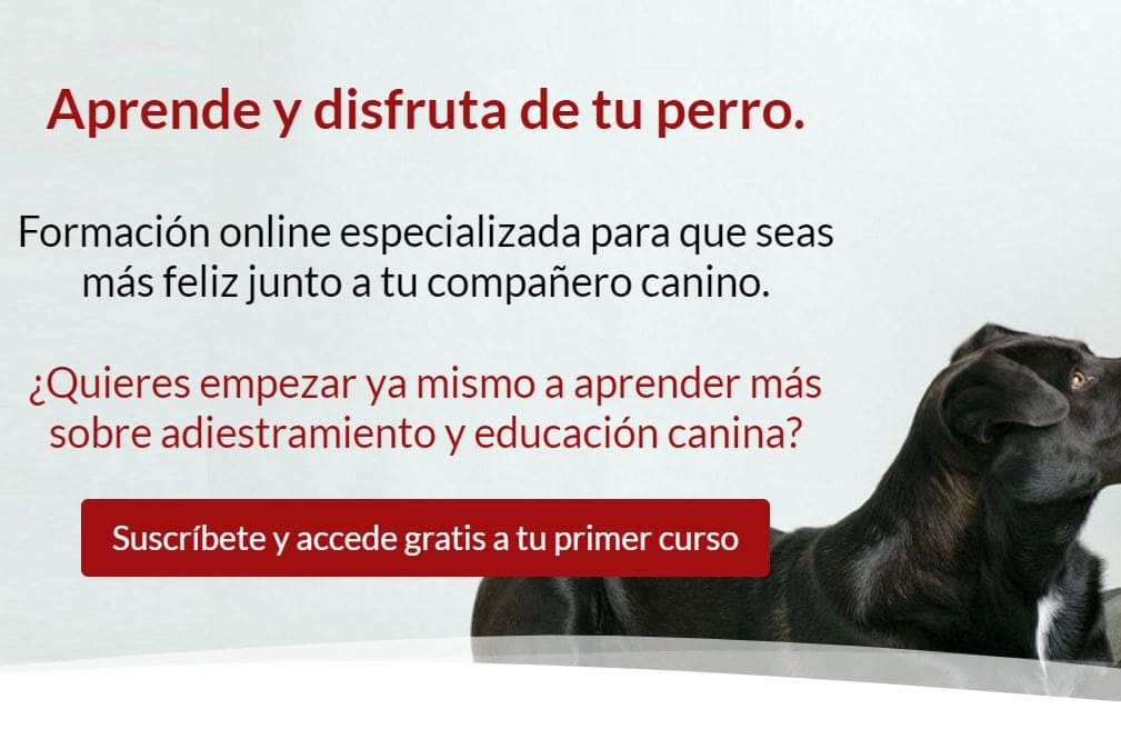 que es cta ejemplo